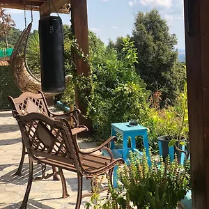 https://yogaville-sardegna.in-sardinia.net
